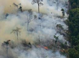 Amazon+smoke WWF Mines The Green Gold Rush To The Amazon: Making  $60 billion From Fear